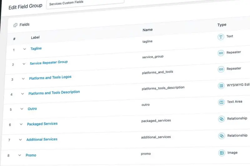 custom cms builds custom fields in wordpress